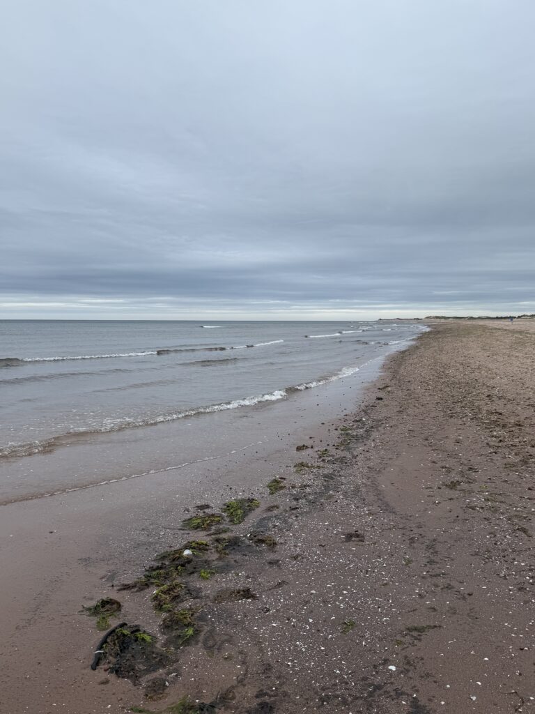 Photograph of a red-sand coastline extending toward the horizon under a cloudy sky.